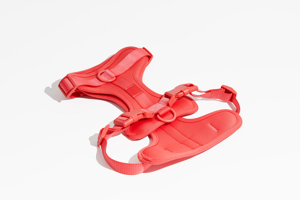 Luxe Harness