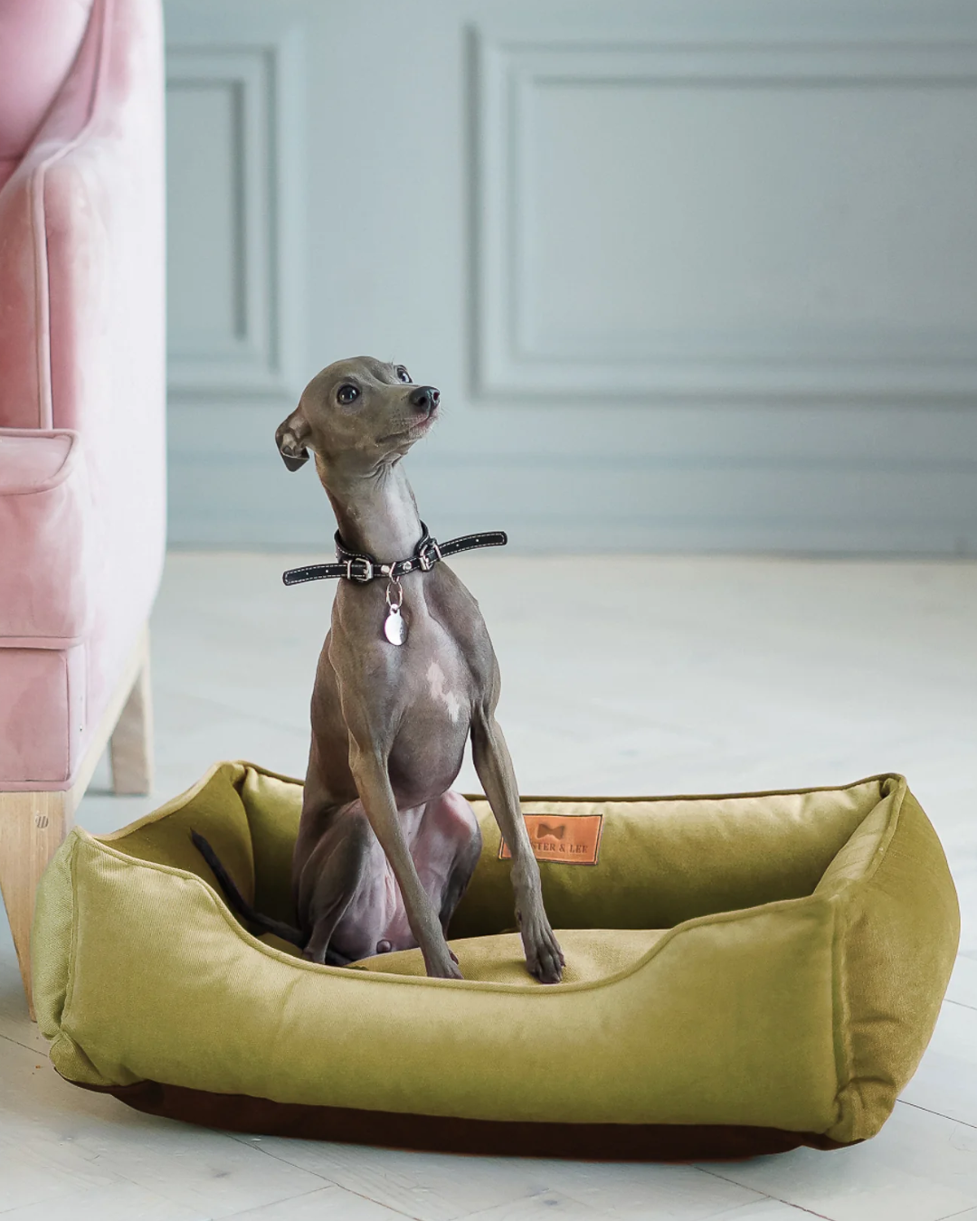 Chester & Lee | Vibrant Velvet Sleeper Dog Bed Olive