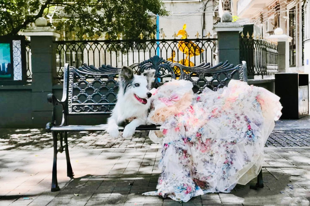 Floral Princess Dog Dress Ball Gown Trailing