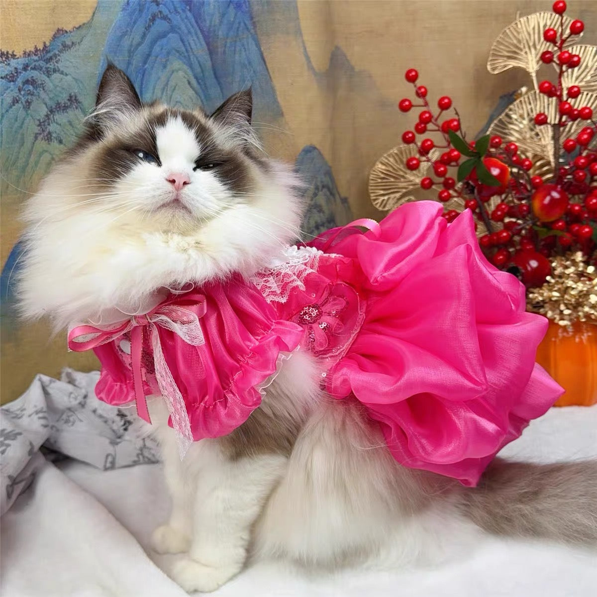 Elegant Hot Pink Lace Dog Party Dress