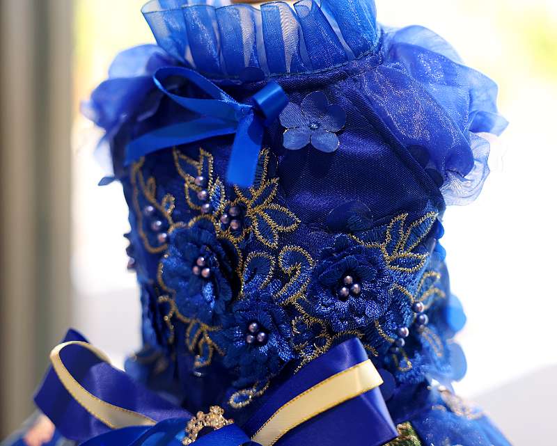 Dog Dress Royal Blue Blossom