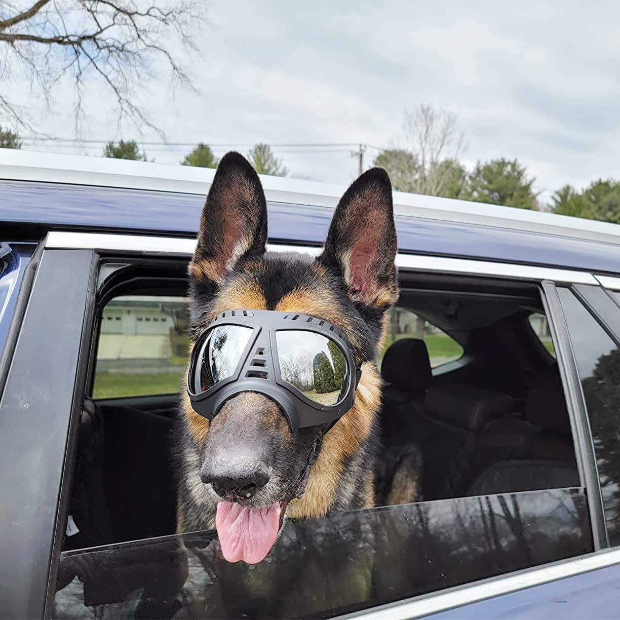 "Doggles" Dog Goggles Sunglasses
