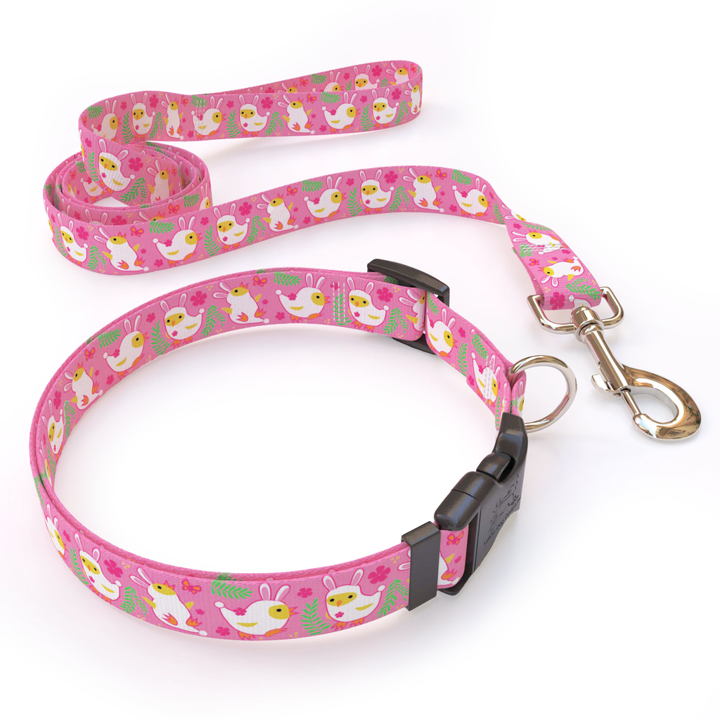 Bunny Chicks Dog Collar