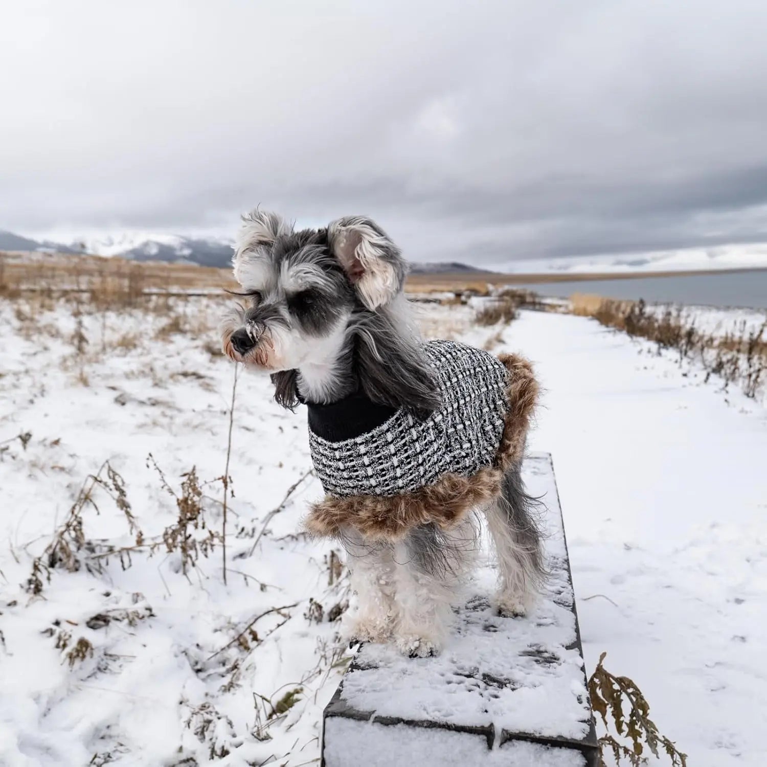 Dog Sweater Cloak Turtleneck Knit Coat XS-XL Small Dogs Winter Warm