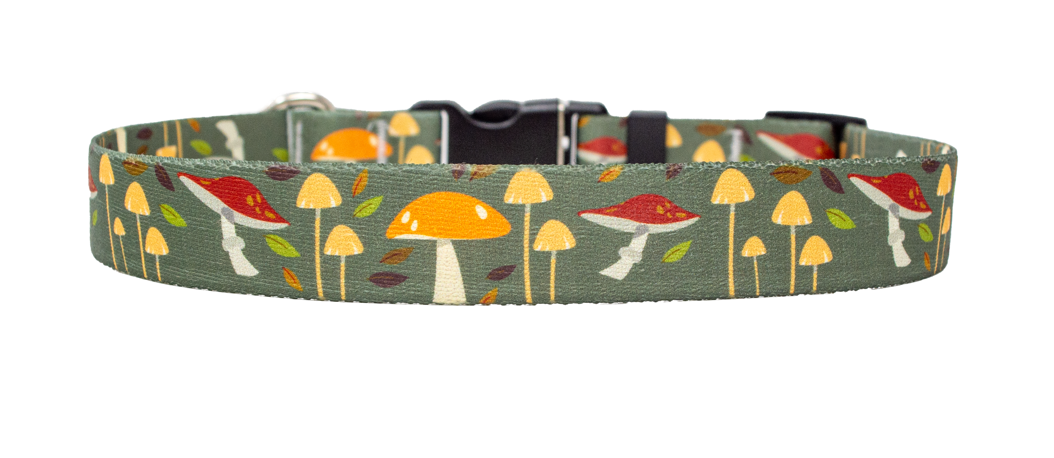 Forest Floor Dog Collar