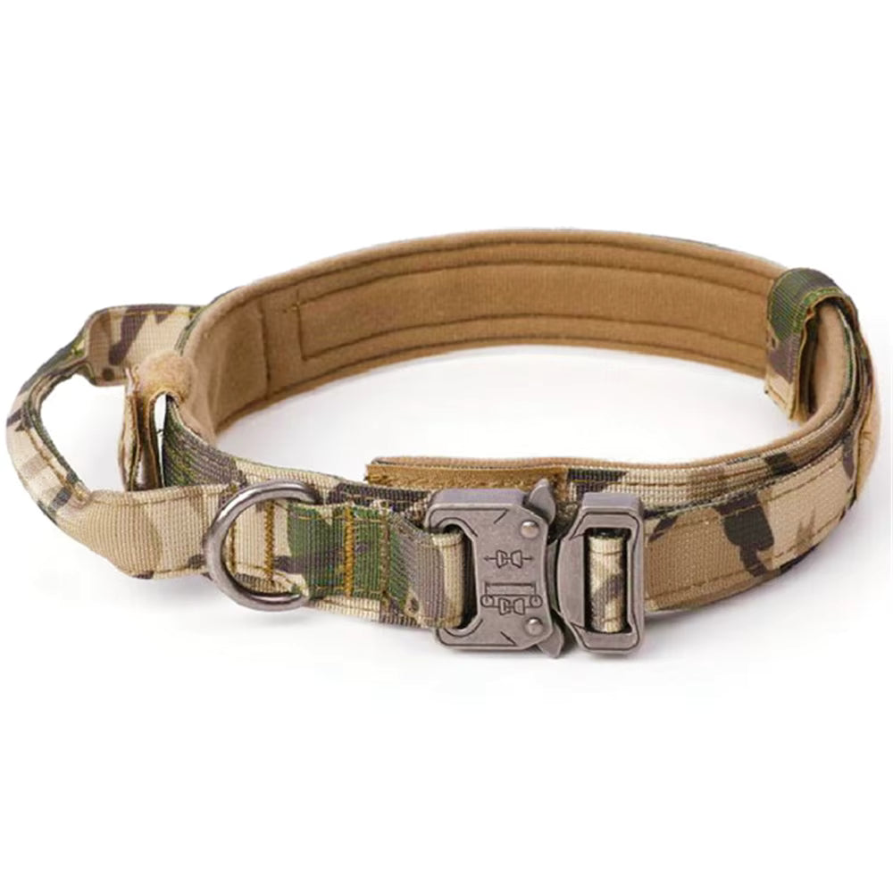 Breakaway 1.5 Dog Collar