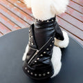Dog Leather Jacket with Studs – Punk Rock Style