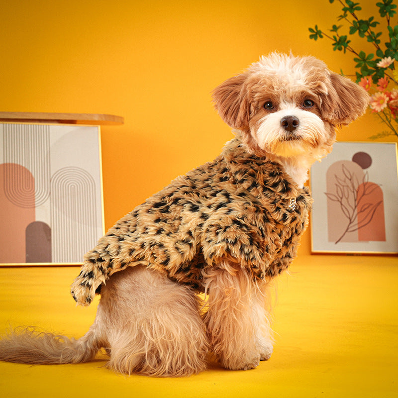 Dog coat leopard fur