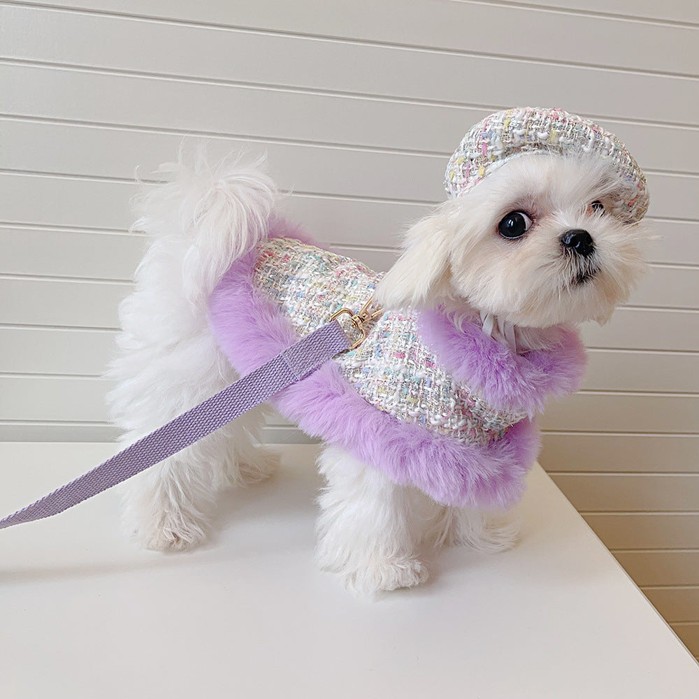 Dog cape+hat+leash lavande tweed
