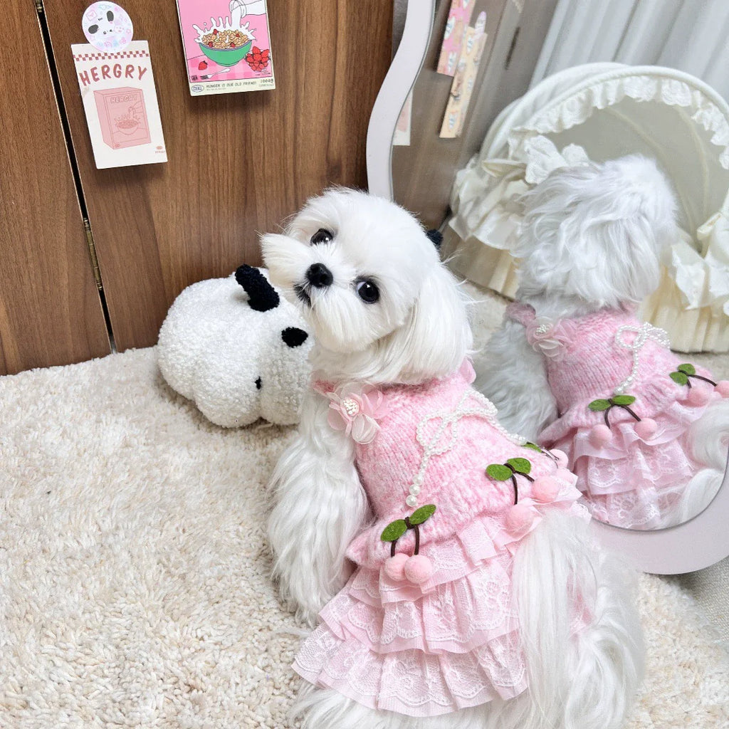 Dog Sweater Dress Pink Cherry