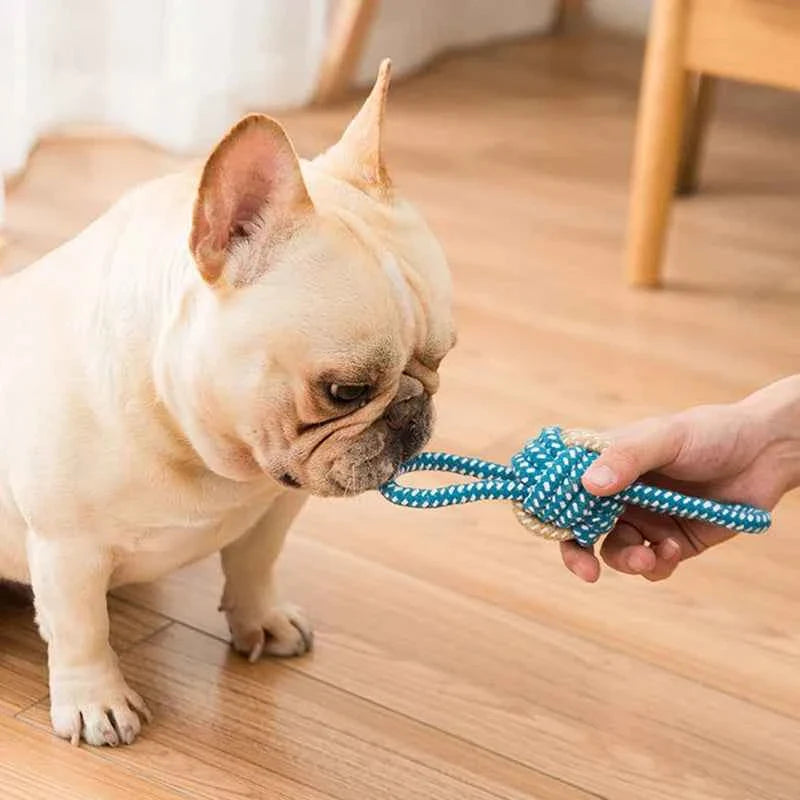 Dog Rope Toy for Strong Chewers and Puppies