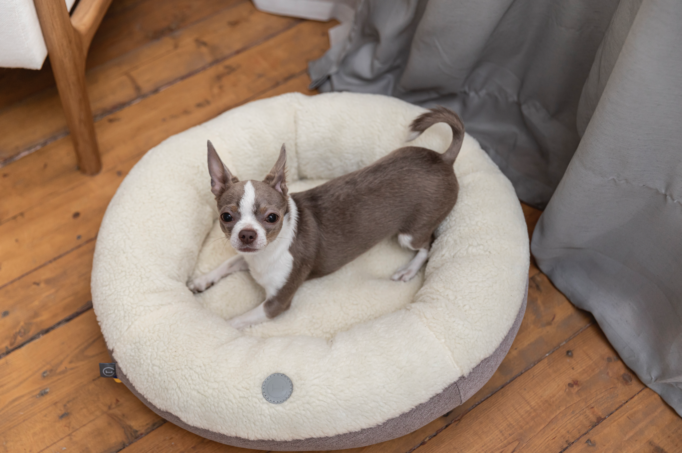 Chester & Lee | Furry Beige Donut Dog Bed