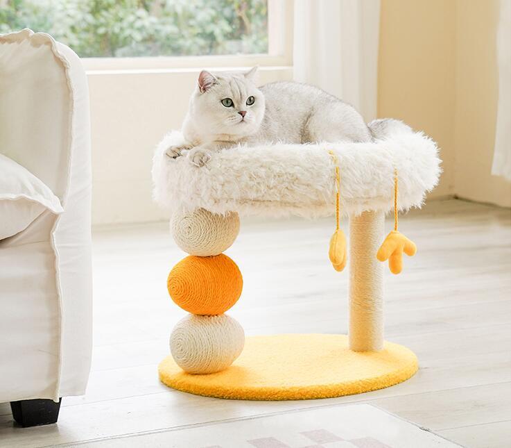 Chick Baby Cat Climbing Frame