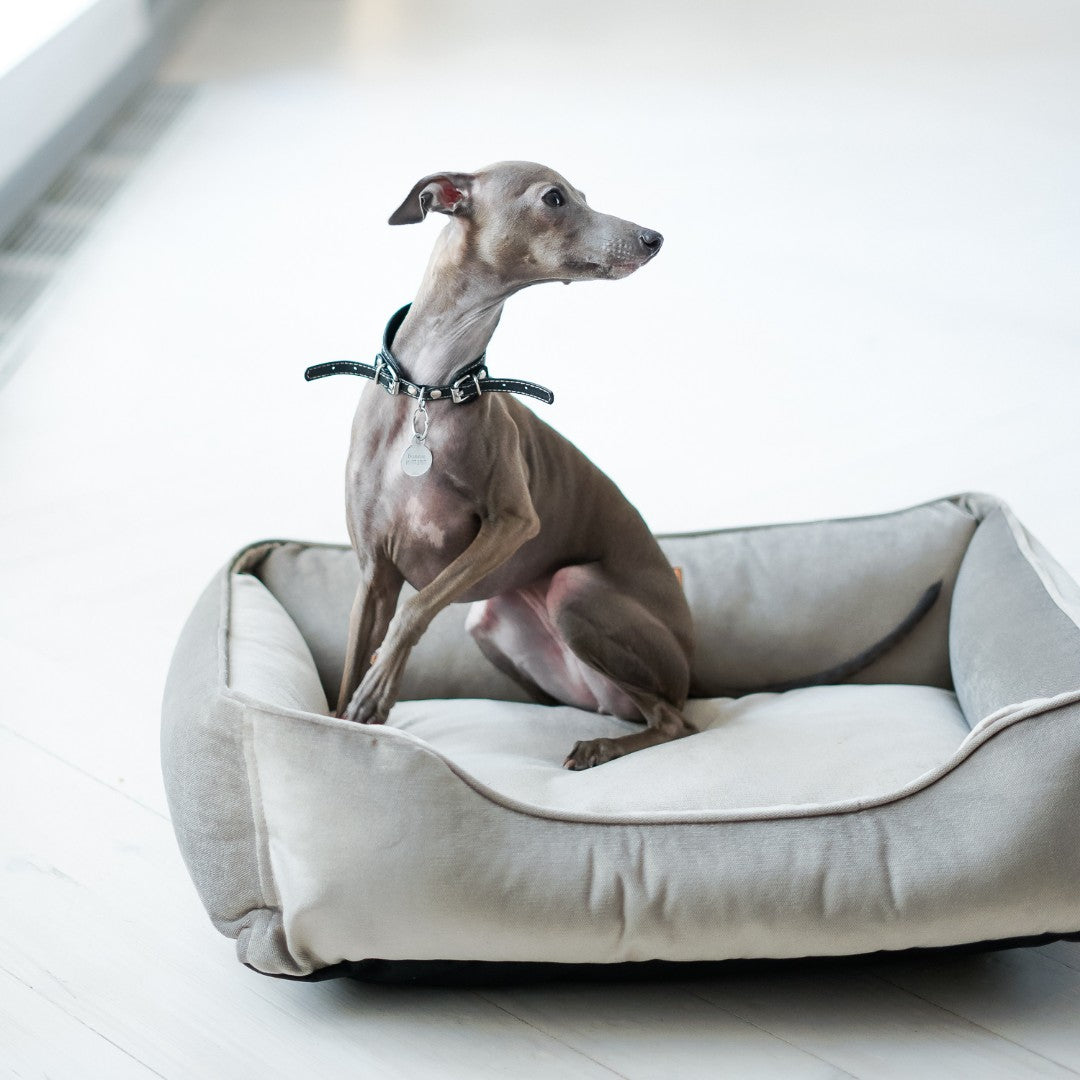Classic Velvet Sleeper Dog Bed Gray